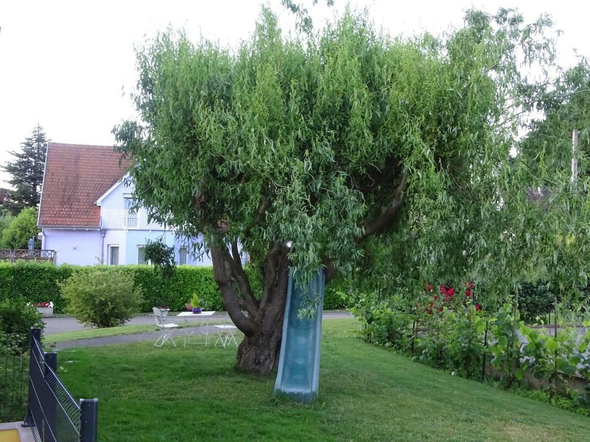 Tiny-House Villa Wihr-au-Val Kültér fotó
